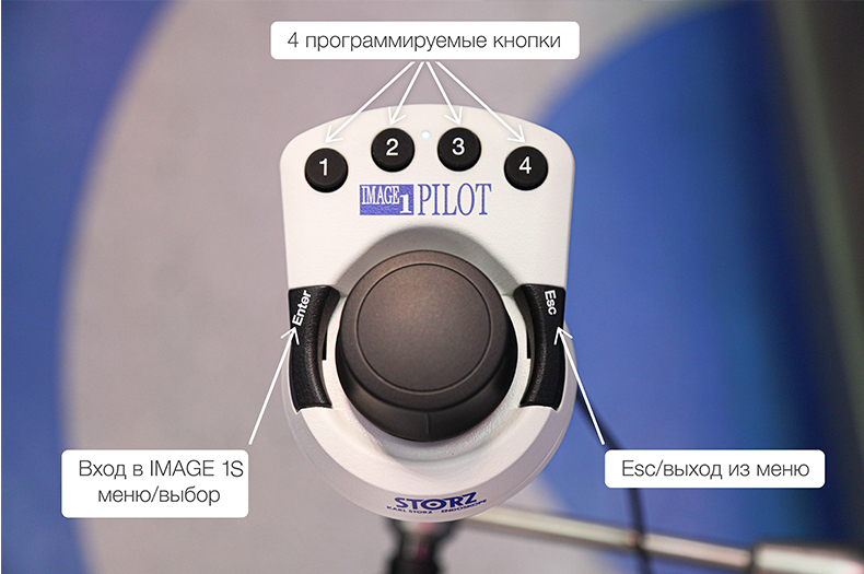 11.jpg IMAGE1 PILOT (TC014)